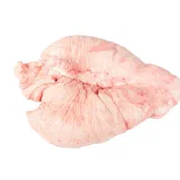 دنبه گوسفندی