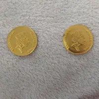 فروش دوعددالیزابت طلا نونوبرابرتابلو