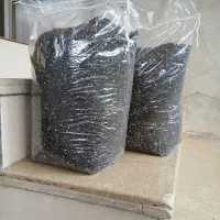 خاک آپارتمانی وباغچه
