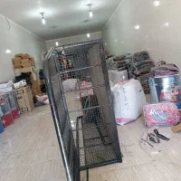 اتاق مبلی مزدا کارا|قطعات یدکی و لوازم جانبی|خرم‌آباد, |دیوار