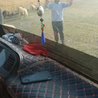 فروش ۵۷ بسته یونجه مرغوب قیمت هر بسته ۴۲۰