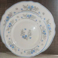 سرویس آرکوپال،48پارچه،Luminarcفرانسه، گل آبی