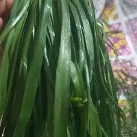 بُسور تازه محلی