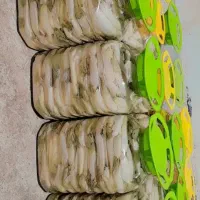 ترشی بیلهر