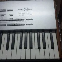 ارگ کرگ korg pa1x