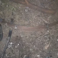 فنرپاترول عقب