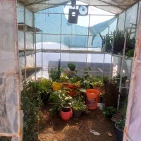 سازه آهنی|مصالح و تجهیزات ساختمان|کنگاور, |دیوار