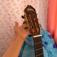 گیتار|گیتار، بیس، امپلیفایر|لاهیجان, فیاض|دیوار