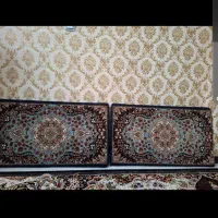 پشتی۲عدد|پشتی|شیراز, شهرک امیر کبیر|دیوار