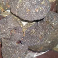 رودیوم پالادیوم طلا پلاتین نقره و فلزات گرانبها