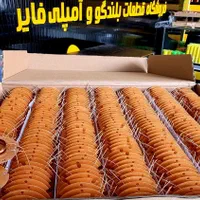 آقا آشنا به الکترونیک یا شاگرد فعال با علاقه