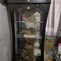 بوفه چوبی شیشه ای