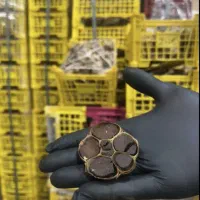 سیر سیاه بسته بندی 200گرمی|آرایشی، بهداشتی، درمانی|اصفهان, خواجو|دیوار