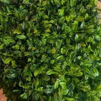 پخش و نصب گرینوال و دیوار سبز|گل مصنوعی|ارومیه, |دیوار