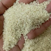 برنج سرلاشه و نیمدانه و سمبوسه تازه|خوردنی و آشامیدنی|مشهد, ابوذر|دیوار