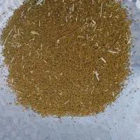 بذر‌یونجه|گل و گیاه طبیعی|مریوان, |دیوار