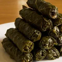 دلمه برگ انگور