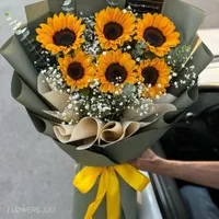 ارسال گل برای شرکت ها، ادارات ،رستوران ها،پاساژها|گل و گیاه طبیعی|تهران, عباس‌آباد|دیوار