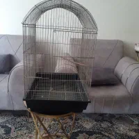 قفس عروس هلندی گرنچیک‌‌‌ملنگو‌ شاه طوطی ‌