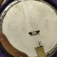 گیتار بانجو banjo|گیتار، بیس، امپلیفایر|تهران, تهرانپارس غربی|دیوار