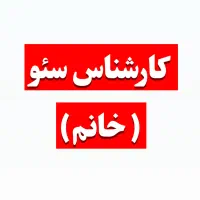 سئو کار (خانم)