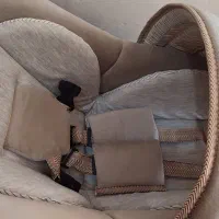 کریر نونو|کالسکه و لوازم جانبی|بندرعباس, |دیوار