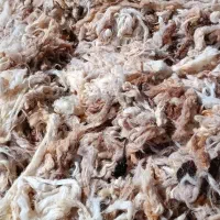 پشم شسته|رختخواب، بالش، پتو|بجنورد, |دیوار