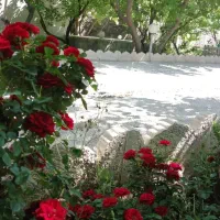 اجاره ویلا با رفاهی کامل و استخر آبگرم سرپوشیده|اجارهٔ کوتاه‌مدت ویلا و باغ|تهران, یافت آباد جنوبی|دیوار