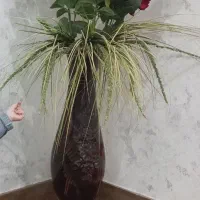 گل رز