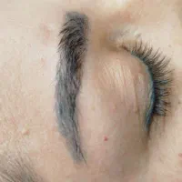 ابرو فیبروز میکرو تاتو شید لب خط چشم دائم|خدمات آرایشگری و زیبایی|برخوار, |دیوار