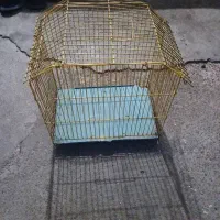قفس|لوازم جانبی حیوانات|رشت, سعدی (تختی)|دیوار