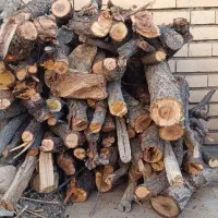 وانت بار  وانت تلفنی وانت سیار توافقی|خدمات حمل و نقل|یزد, |دیوار