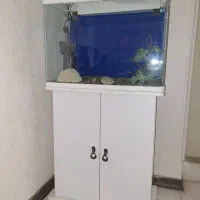 اکواریوم شرکتی شیشه خم شرکت دلسا