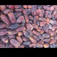 خرمای دانه متوسط خشک پیارمی