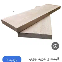 فروش چوب چنار