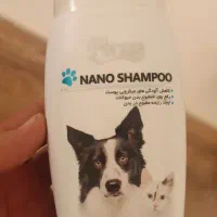 فروش خرگوش همراه با وسایل|موش و خرگوش|زرقان, |دیوار