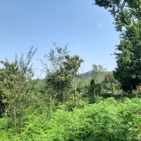 زمین-مسکونی-با-پروانه
