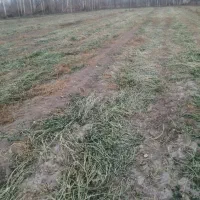 شنبله علف یونجه|لوازم جانبی حیوانات|خوی, |دیوار