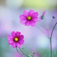 راهنمایی میخوام