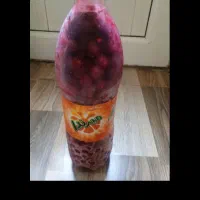 فریزر شده بهداشتی وتمیز