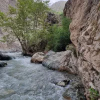 طبیعت گردی و کمپ