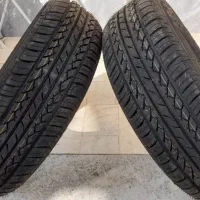 لاستیک نو پارس