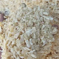 پوشال چوب نراد|لوازم جانبی حیوانات|رستمآباد, |دیوار