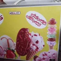 فریزر صندوقی مغازه