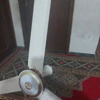 پنکه سقفی ارشیا|پنکه و تصفیهکنندهٔ هوا|گنبد کاووس, |دیوار