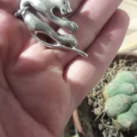 آویز گردنبند مدل ببر|جواهرات|کرج, باغستان|دیوار