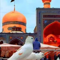هتل ارزان واقتصادی با صبحانه رایگان|اجارهٔ کوتاه‌مدت آپارتمان و سوئیت|مشهد, امام رضا (ع)|دیوار
