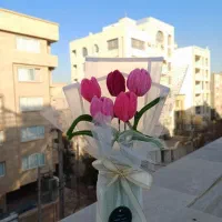 فروش انواع دسته گل های جاودان ربانی و پیپ پاکن