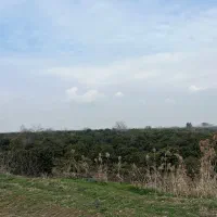 زمین کشاورزی دینک ۱۰۰۰ متر|فروش زمین و ملک کلنگی|آکند, |دیوار