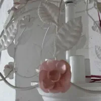 دو عدد لوستر|لوستر و چراغ آویز|خشکبیجار, |دیوار